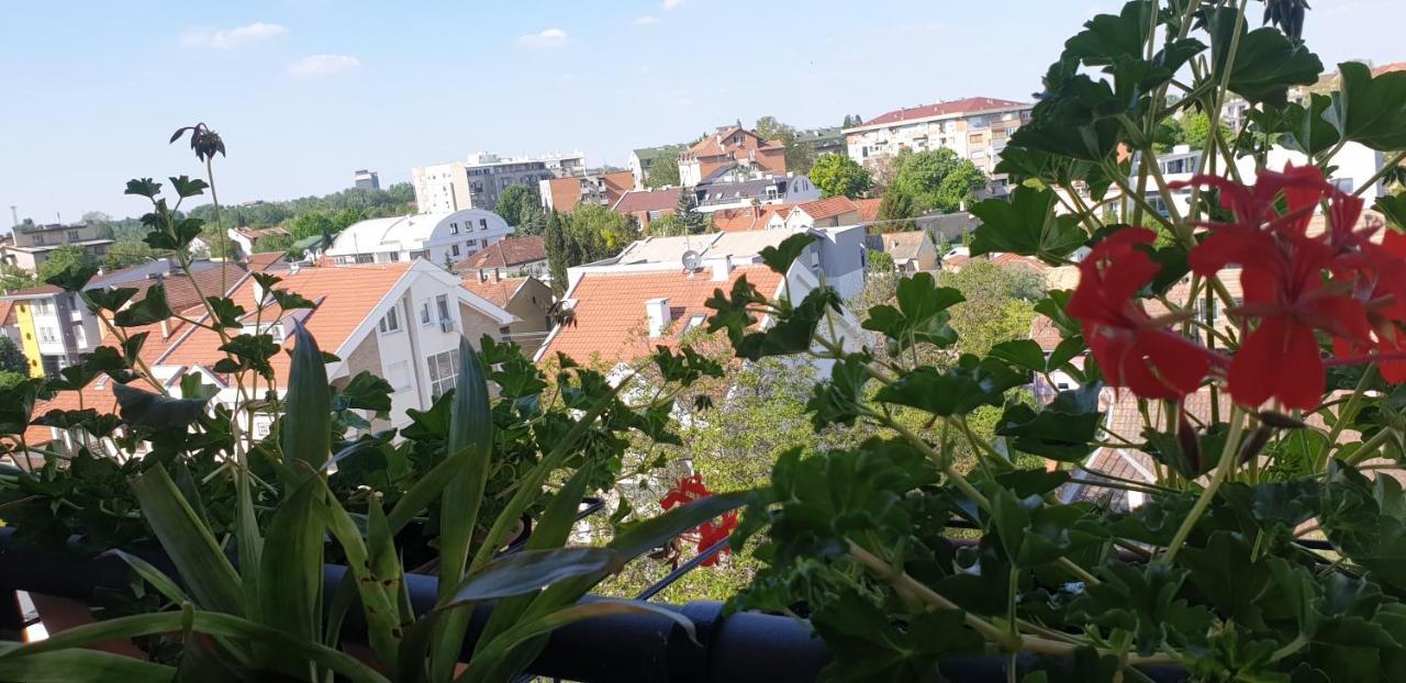 Apartmani Emerald Dream Újvidék Kültér fotó