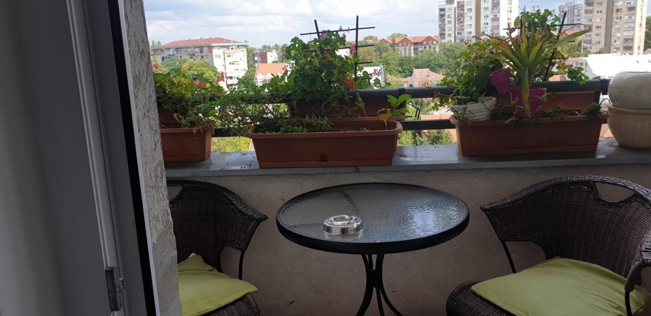 Apartmani Emerald Dream Újvidék Kültér fotó