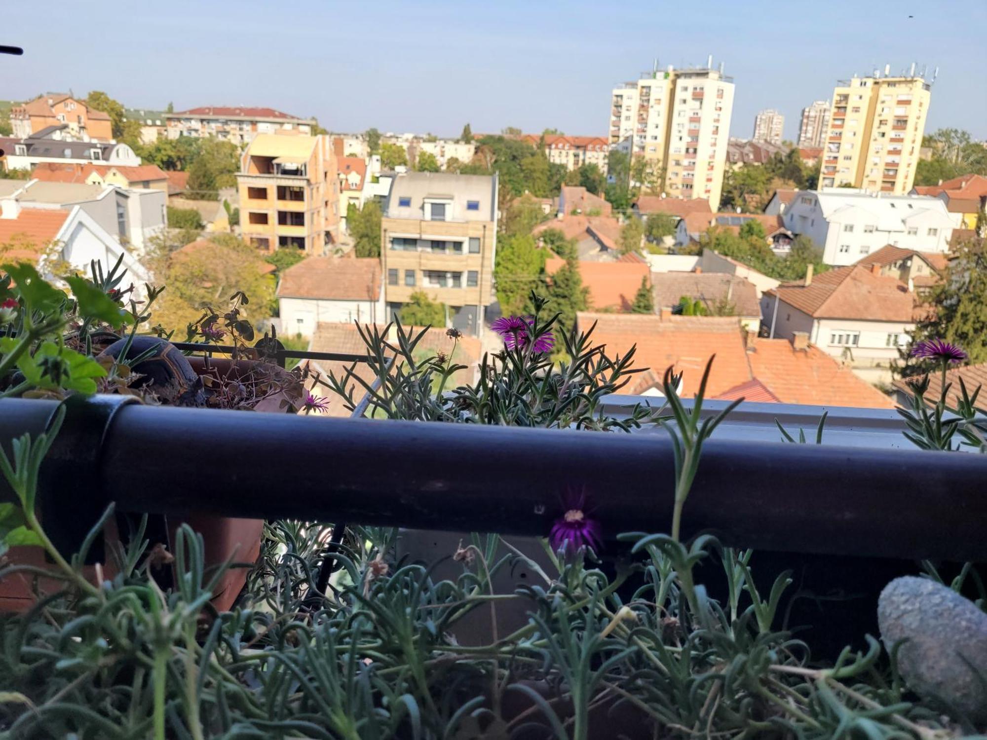 Apartmani Emerald Dream Újvidék Kültér fotó