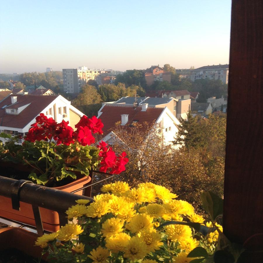 Apartmani Emerald Dream Újvidék Kültér fotó